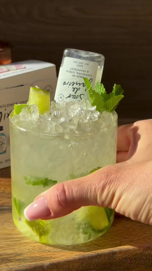 Wildmix Mojito